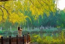 91麻豆女郎-91麻豆女郎，数字时代的镜像与多元文化的碰撞