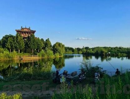 大象传媒怎么登录-探索大象传媒的登录之旅，简单、安全、高效的步骤指南