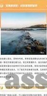 国产麻豆视频在线-国产影像艺术的网络新篇章，国产麻豆视频的多元探索