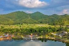 国产视频麻豆-国产视频麻豆的崛起，文化现象与市场观察