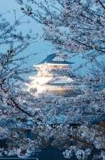 欧美一区二区三区在线-探索网络内容分区的多元化与影响