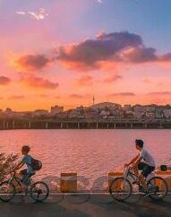 糖心视频在线观看入口-娱乐新视角，探寻糖心视频的在线观看之旅